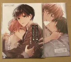 2026年最新】ピットスポルム小冊子の人気アイテム - メルカリ