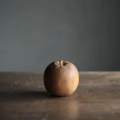 Item thumbnail for item 32407619-9c2f-418e-9b96-b10e91c67075