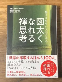 S 傷つきやすい人のための 図太くなれる禅思考