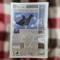 Item thumbnail for item 39819fc3-8174-464d-923f-7e345e457320