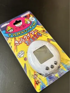 Item thumbnail for item c182fc45-cb13-445f-89a9-a4c28c14f8b6