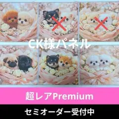♡セミオーダー受付中♡　花束わんこ　犬　759　超レア　Premium