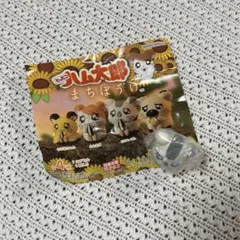 ハム太郎 カプセルトイ こうしくん