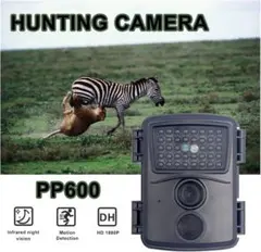 Item thumbnail for item 859fae0d-286f-4eb1-a943-888f4613a1c0