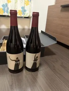 VINIQROBE Merlot 2023 日本ワイン - メルカリ