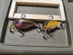 Item thumbnail for item 403efa42-5b00-4704-9315-f69bb564293d