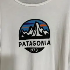 Patagoniaパタゴニア1973 ロゴ TシャツオーガニックコットンUSA製のサムネイル