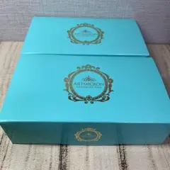 アートミクロンモアモアプラス　ダークブラウン6箱 アートミクロン モアモアプラス パウダー・スプレーセット