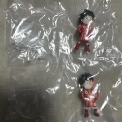 ワンピの実 ルフィ