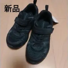 Item thumbnail for item 0a243725-0efe-4dea-8279-c93c243a46d9