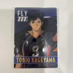 2025年最新】ハイキュー影山飛雄クリアカードの人気アイテム - メルカリ