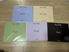 An Ode ディノ 5枚