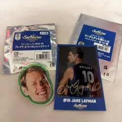 シーホース三河　ジェイクレイマン選手　クリップトレカセット