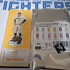 水谷瞬　北海道日本ハムファイターズ ミニアクリルスタンドのサムネイル