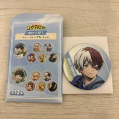 僕のヒーローアカデミア課外学習！トレーディング缶バッチ オーロラver. 轟焦凍