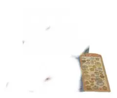 らら様様専用•*¨*•.¸♬︎