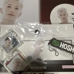 SEVENTEENアクリルコースター ポーチ ストラップチャーム 1番くじ ホシ