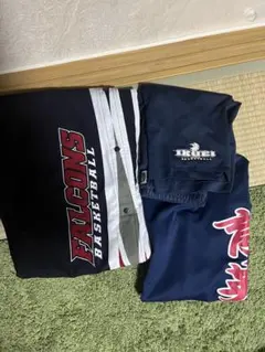 Item thumbnail for item 5861b0b0-79fe-49aa-acd8-37ab1cf00717