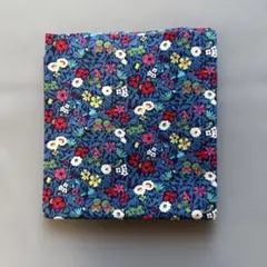 Item thumbnail for item 1a495f53-abeb-4246-900a-3480ba2ae85d