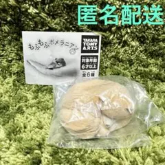 Item thumbnail for item 5f2aa07d-7add-4332-b390-c9f13f105054