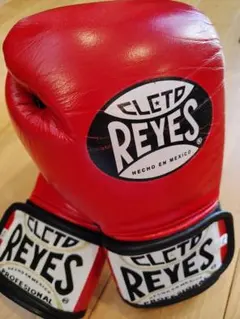 2026年最新】レイジェスの人気アイテム - メルカリ