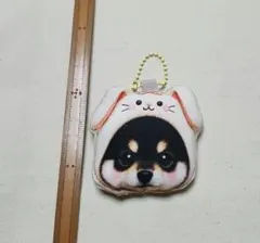 ⭐ワンコのチャーム⭐黒柴⭐