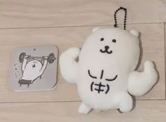 【ソウ様専用】ナガノのくま　マッチョなナガノのくま