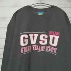 専用　チャンピオン プリント カレッジ スウェット トレーナー USA古着