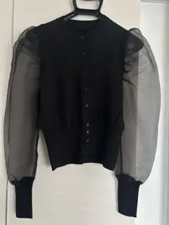 ZARA カーディガン オーガンジー