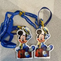 ディズニー　バケーションパッケージ　チケットホルダー