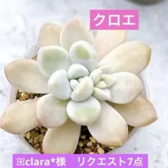 ꕤclara*様 リクエスト 4点 まとめ商品