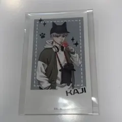 2025年最新】梶蓮 ナンジャタウンの人気アイテム - メルカリ