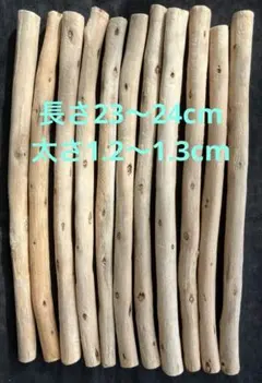 Item thumbnail for item b757056a-c277-4f17-a555-d60e2bb41c6e