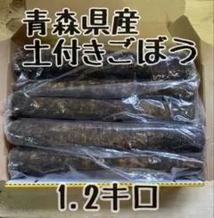 青森県産！土付きごぼう　1.2キロのサムネイル