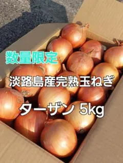 数量限定 産地直送 淡路島産完熟玉ねぎ ターザン 5kgのサムネイル