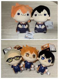 ハイキュー!! ぷちっしゅ！ もちぴこ