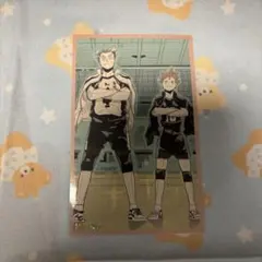 木兎　日向　ハイキュー　メモリアルコレクション