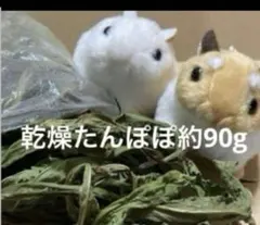 Item thumbnail for item 52ba552d-cf0d-4d44-914e-ea2003b59d7d