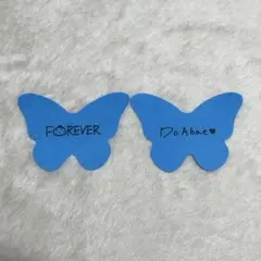 DxS SERENADE 落下物 蝶 ブルー ドギョム スングァン セブチ