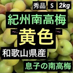 和歌山県産 紀州南高梅 秀品 S 箱込み約2kg以上のサムネイル
