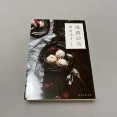 Item thumbnail for item 3ba4da51-5bbd-4289-b6bb-842bb01f043b