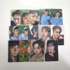 ZEROBASEONE マシュー まとめ売り