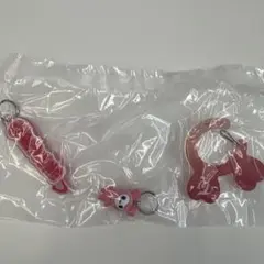 チェヨン　TWICE ラブリー アクリルカラビナフロッキーマスコット