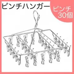 ピンチハンガー　30ピンチ　ハンガー　ステンレス 洗濯 強力 シルバー おしゃれ