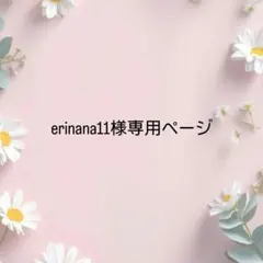 erinana11様専用ページ