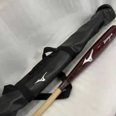 Item thumbnail for item 4107c50d-d6ff-4897-9490-c3ad879aea50