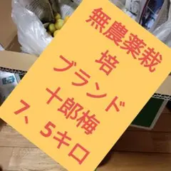激安　農薬不使用十郎梅　身体に安心安全　7、5キロ6000円　梅干し梅酒に最適のサムネイル