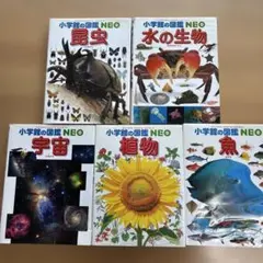 小学校の図鑑 NEO 5冊セット