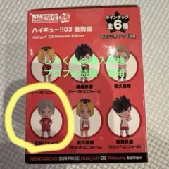 ハイキュー　ねんどろいど