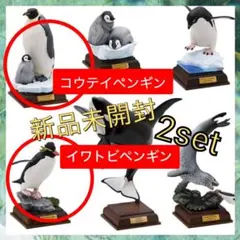 ネイチャーテクニカラー 南極 ペンギン コウテイ（ヒナ） アデリー